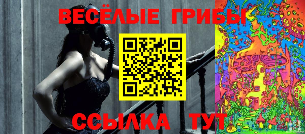 Галлюциногенные грибы Magic Shrooms  Псилоцибиновые грибы ЛСД  Куйбышев  Вход с VPN 
