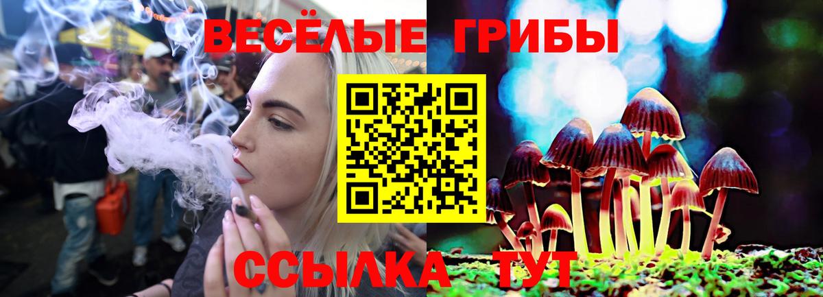 Галлюциногенные грибы мицелий Куйбышев